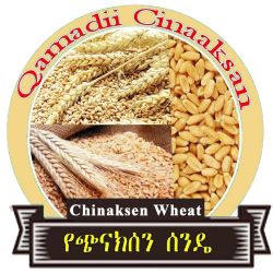 Qamadii