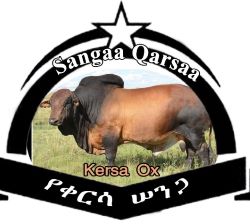 Sangaa1