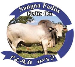 Sangaa2